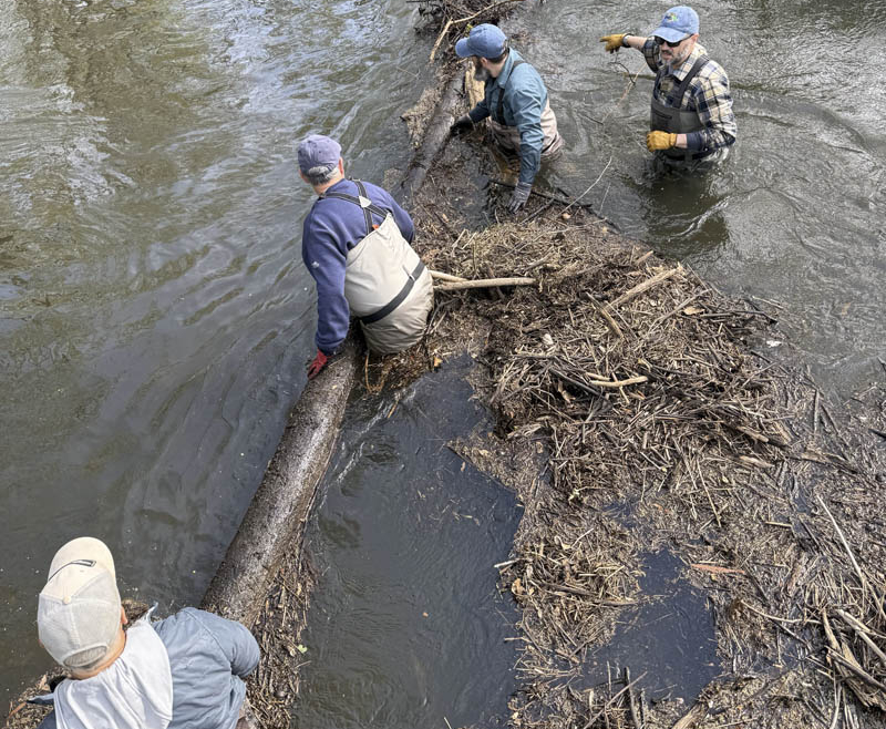 Rice Creek Restoration Project Entering Final Phases